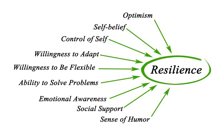 How to cultivate resilience for mental wellness