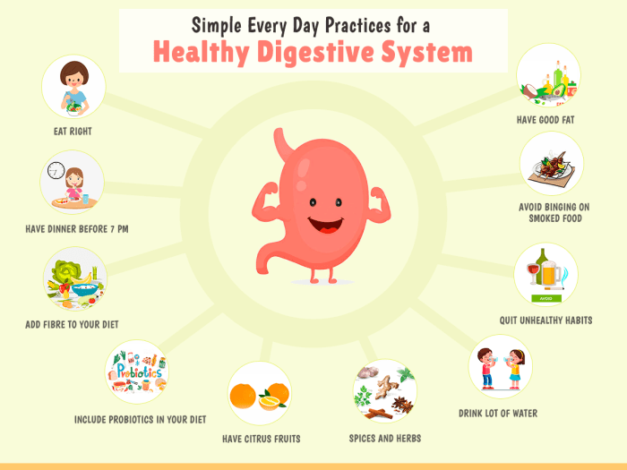 Benefits of a balanced diet for digestive health