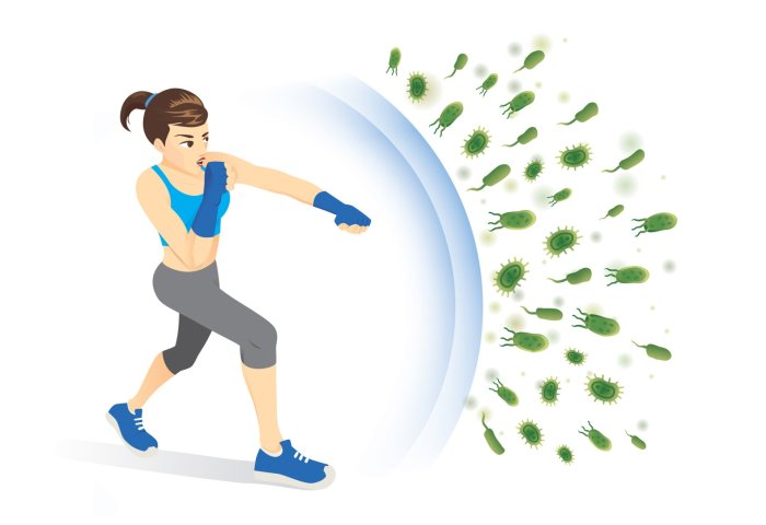 How to boost immunity with regular exercise